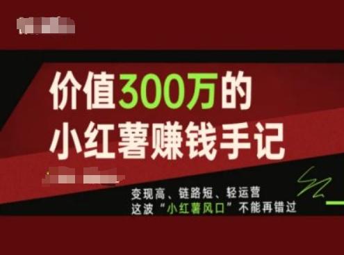 价值300万的小红书赚钱手记，变现高、链路短、轻运营，这波“小红薯风口”不能再错过-九洲网