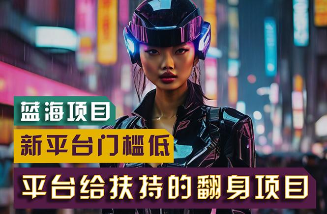 【蓝海项目】新平台无脑搬运，翻身项目 门槛低 小白也能轻松上手 日入500+-九洲网