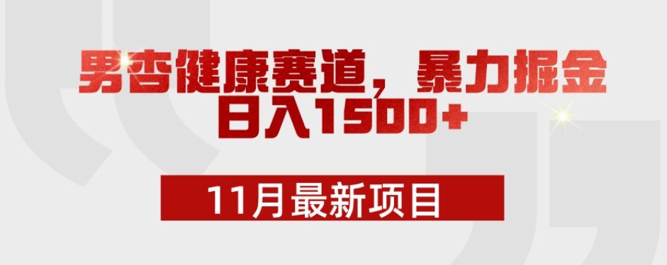 11月最新项目，男杏健康赛道，暴力掘金，日入1500+-九洲网