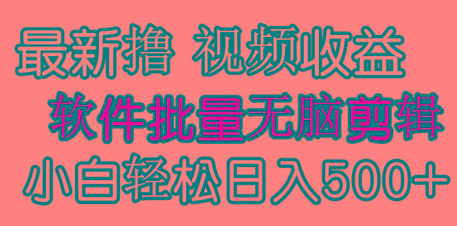 (9569期)发视频撸收益，软件无脑批量剪辑，第一天发第二天就有钱-九洲网