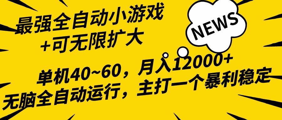 (10046期)2024最新全网独家小游戏全自动，单机40~60,稳定躺赚，小白都能月入过万-九洲网