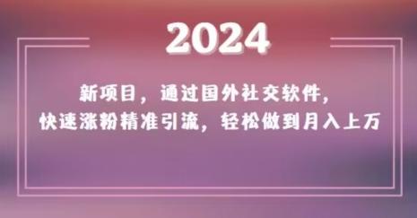 2024新项目，通过国外社交软件，快速涨粉精准引流，轻松做到月入上万【揭秘】-九洲网