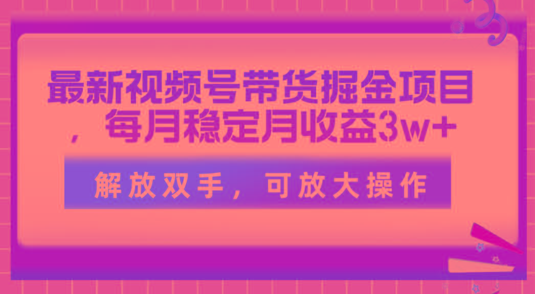 最新视频号带货掘金项目，每月稳定月收益3w+，解放双手，可放大操作-九洲网