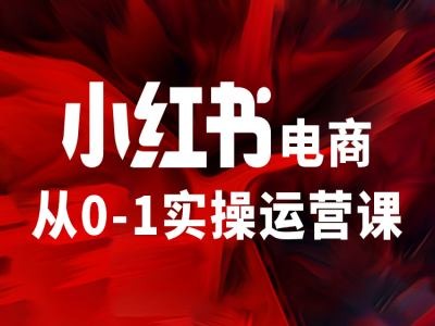 小红书电商从0-1实操运营课，让你从小白到精英-九洲网