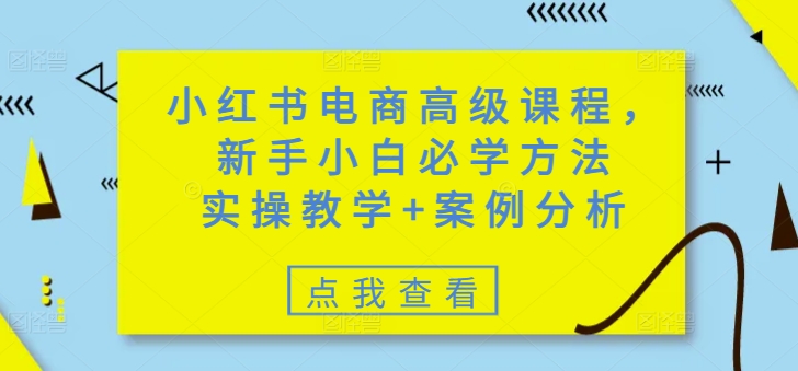 小红书电商高级课程，新手小白必学方法，实操教学+案例分析-九洲网