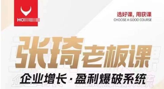 【组合课】张琦张琦老板企业增长·盈利爆破系统（直播专享）-九洲网