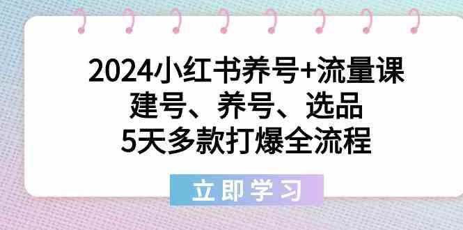 2024小红书养号+流量课：建号、养号、选品，5天多款打爆全流程-九洲网