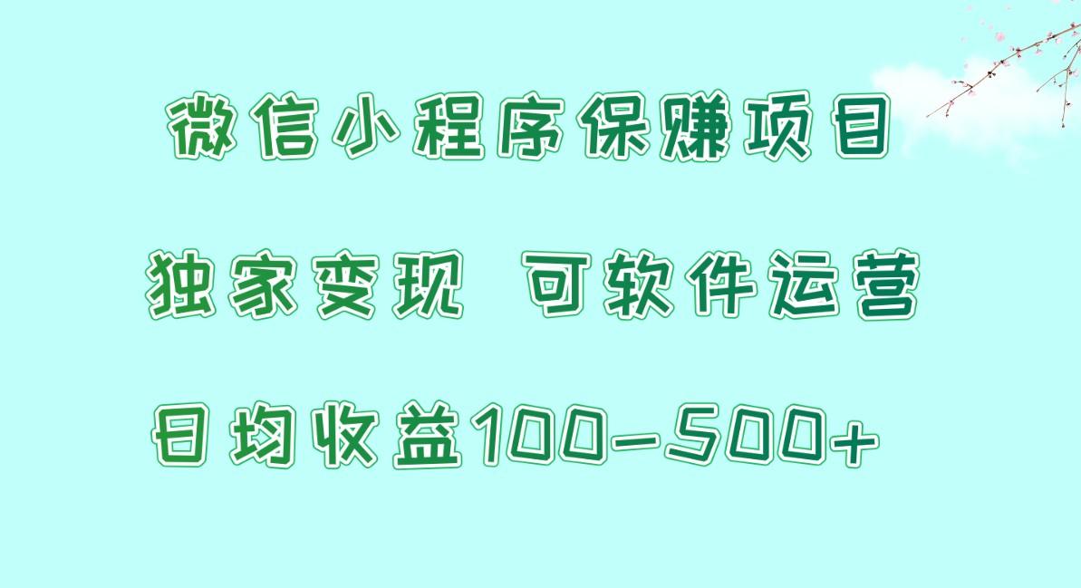 微信小程序保赚项目，日均收益100~500+，独家变现，可软件运营-九洲网