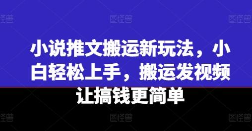 小说推文搬运新玩法，小白轻松上手，搬运发视频让搞钱更简单-九洲网