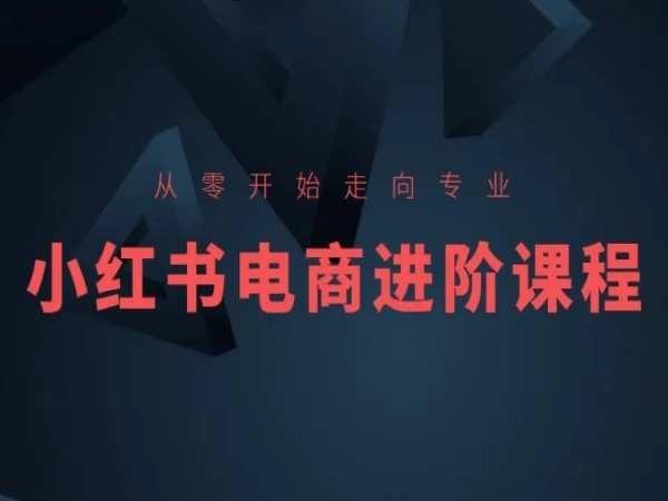 从零开始走向专业，小红书电商进阶课程-九洲网