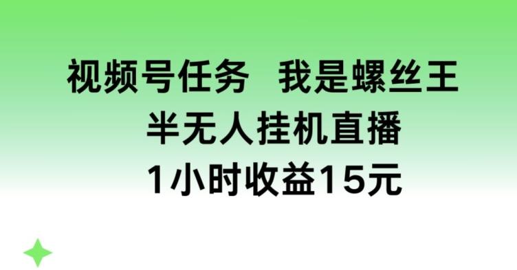 视频号任务，我是螺丝王， 半无人挂机1小时收益15元【揭秘】-九洲网