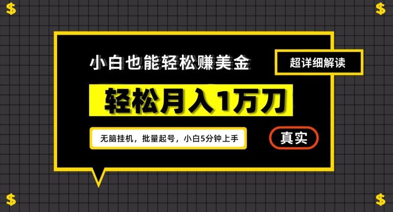 谷歌看广告撸美金2.0，无脑挂机，多号操作，月入1万刀【揭秘】-九洲网