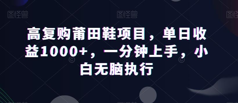 高复购莆田鞋项目，单日收益1000+，一分钟上手，小白无脑执行-九洲网