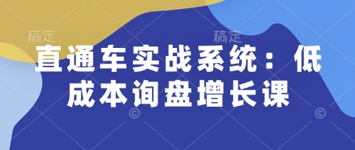 直通车实战系统：低成本询盘增长课，让个人通过技能实现升职加薪，让企业低成本获客，订单源源不断-九洲网