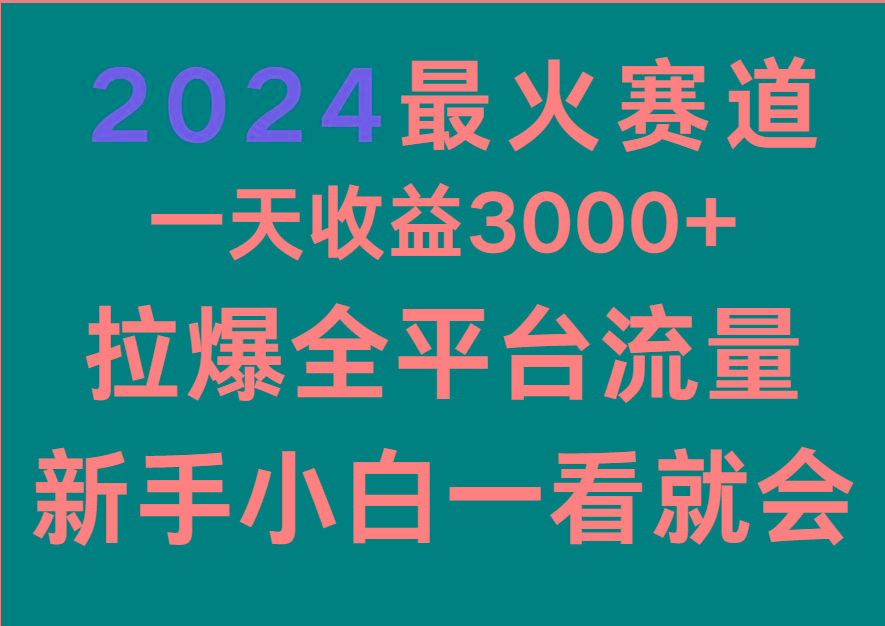 2024最火赛道，一天收一3000+.拉爆全平台流量，新手小白一看就会-九洲网