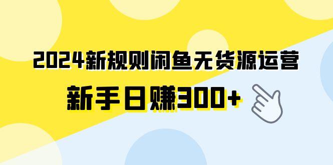 (9522期)2024新规则闲鱼无货源运营新手日赚300+-九洲网