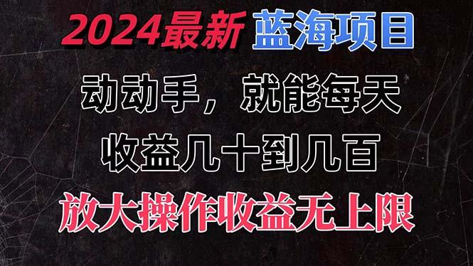 有手就行的2024全新蓝海项目，每天1小时收益几十到几百，可放大操作收...-九洲网