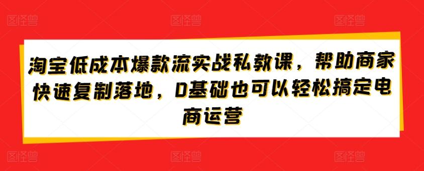 淘宝低成本爆款流实战私教课，帮助商家快速复制落地，0基础也可以轻松搞定电商运营-九洲网