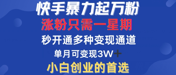 快手暴力起万粉，涨粉只需一星期，多种变现模式，直接秒开万合，单月变现过W【揭秘】-九洲网