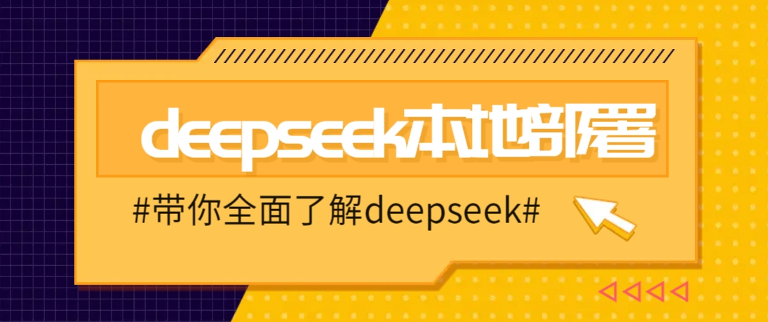 DeepSeek本地部署详细教程，轻松将deepseek部署到你的电脑上-九洲网