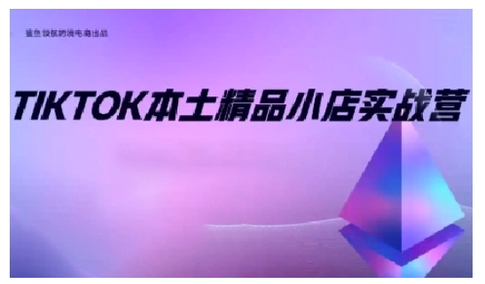TikTok本土精品小店出海实战营，从入门到高阶，不止0-1!-九洲网