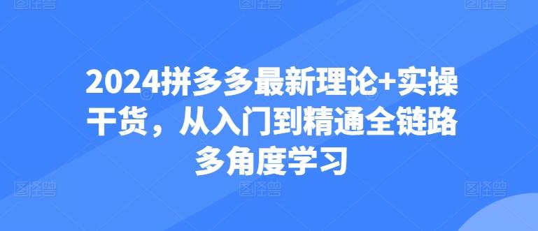 2024拼多多最新理论+实操干货，从入门到精通全链路多角度学习-九洲网