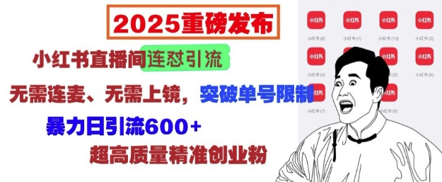 2025重磅发布：小红书直播间连怼引流，无需连麦、无需上镜，突破单号限制，暴力日引流600+-九洲网