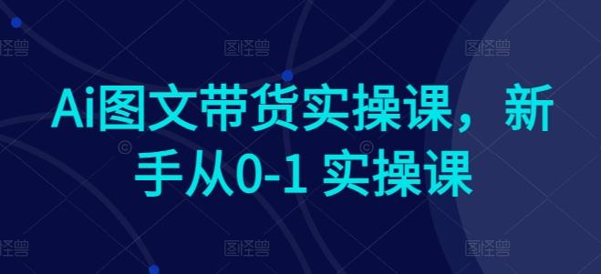 Ai图文带货实操课，新手从0-1 实操课-九洲网