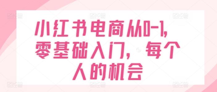 小红书电商从0-1，零基础入门，每个人的机会-九洲网