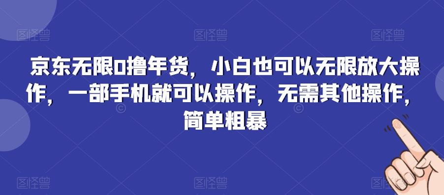 京东无限0撸年货，小白也可以无限放大操作，一部手机就可以操作，无需其他操作，简单粗暴-九洲网