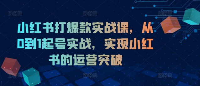 小红书打爆款实战课，从0到1起号实战，实现小红书的运营突破-九洲网