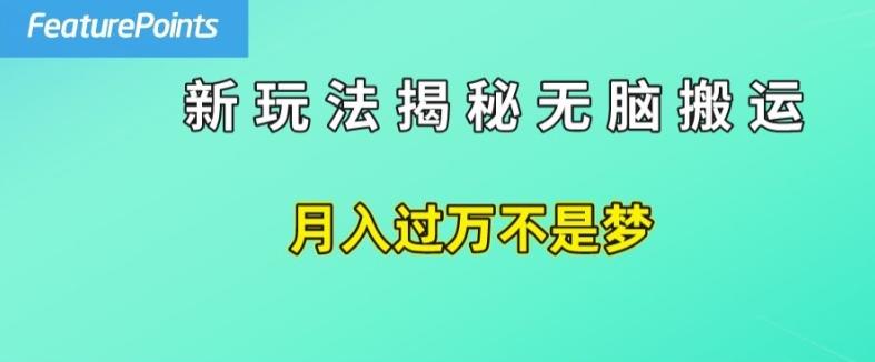 简单操作，每天50美元收入，搬运就是赚钱的秘诀【揭秘】-九洲网