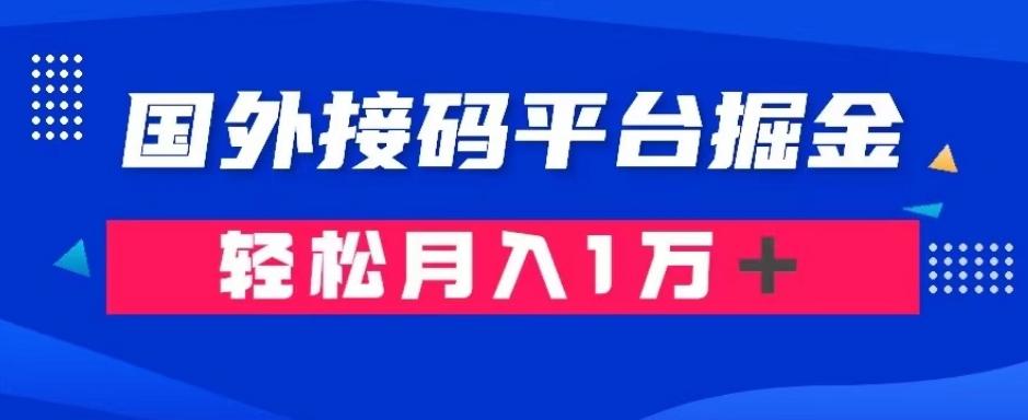 通过国外接码平台掘金：成本1.3，利润10＋，轻松月入1万＋【揭秘】-九洲网