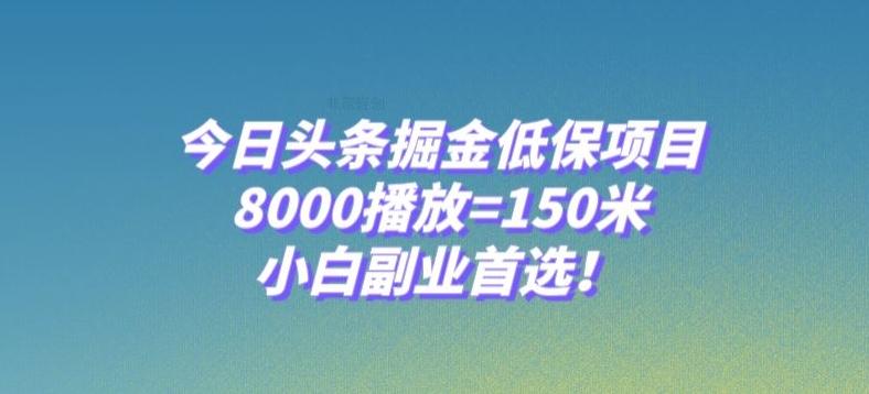 今日头条掘金低保项目，8000播放=150米，小白副业首选【揭秘】-九洲网