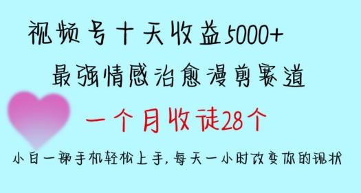 十天收益5000+，多平台捞金，视频号情感治愈漫剪，一个月收徒28个，小白一部手机轻松上手【揭秘】-九洲网