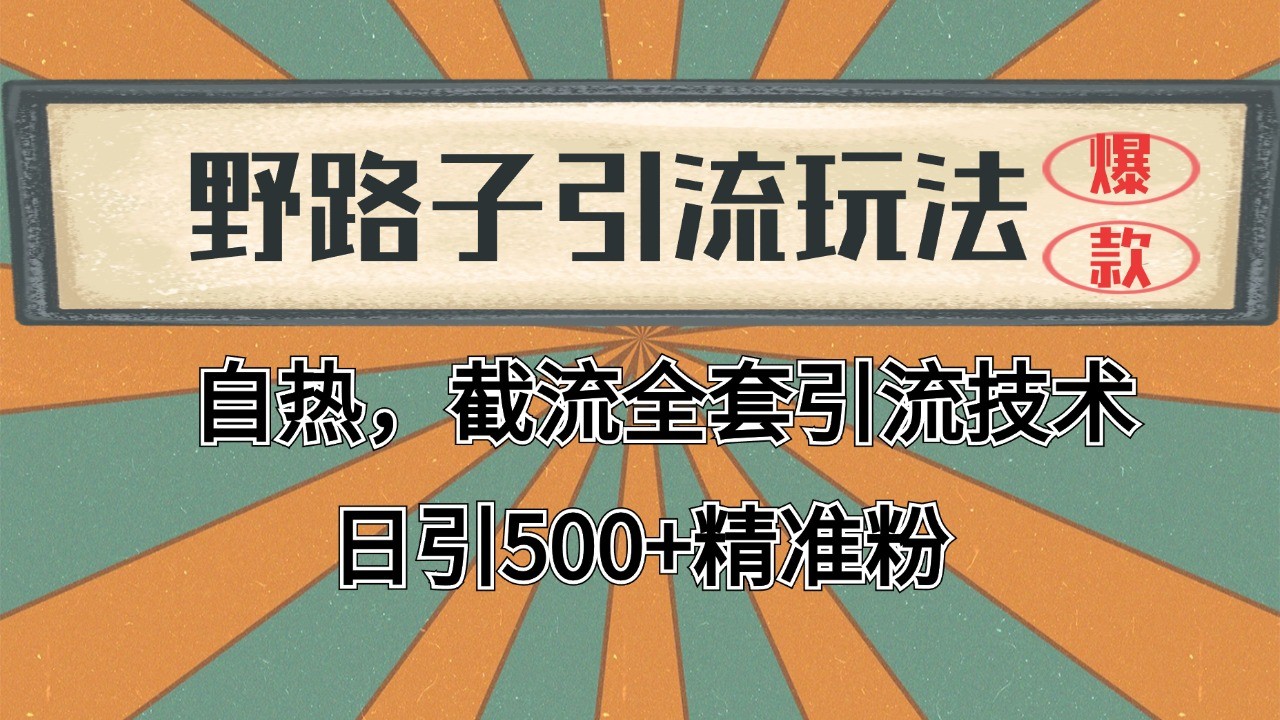 抖音小红书视频号全平台引流打法，全自动引流日引2000+精准客户-九洲网