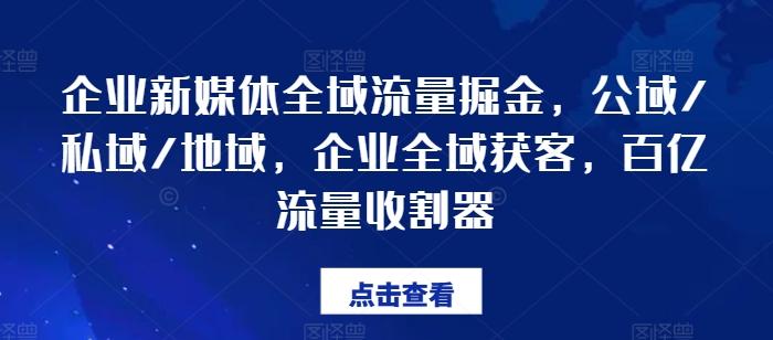 企业新媒体全域流量掘金，公域/私域/地域，企业全域获客，百亿流量收割器-九洲网