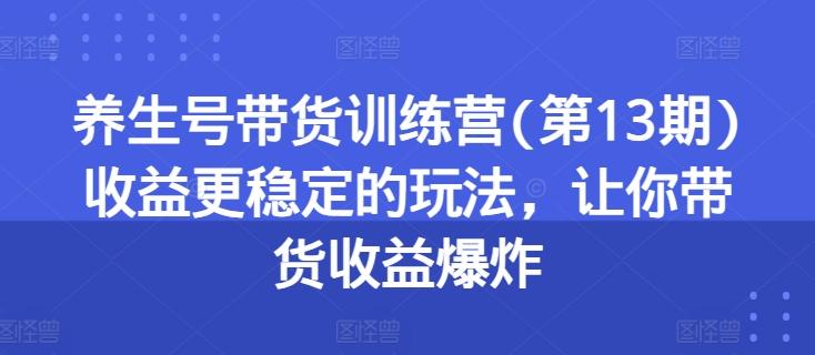 养生号带货训练营(第13期)收益更稳定的玩法，让你带货收益爆炸-九洲网