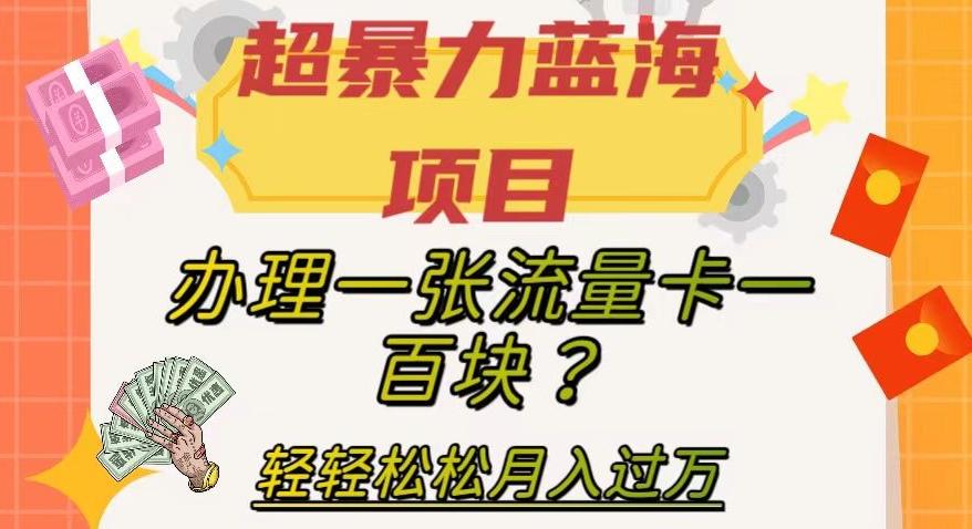 超暴力蓝海项目，办理一张流量卡一百块？轻轻松松月入过万，保姆级教程【揭秘】-九洲网