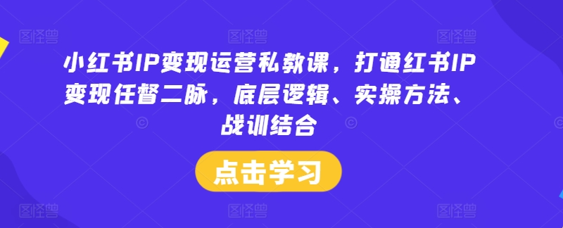 小红书IP变现运营私教课，打通红书IP变现任督二脉，底层逻辑、实操方法、战训结合-九洲网