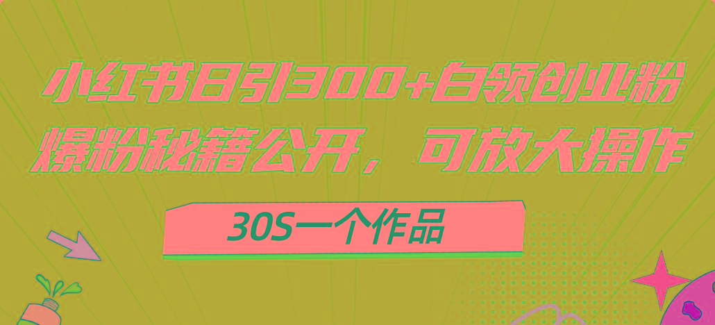 小红书日引300+高质白领创业粉，可放大操作，爆粉秘籍！30s一个作品-九洲网