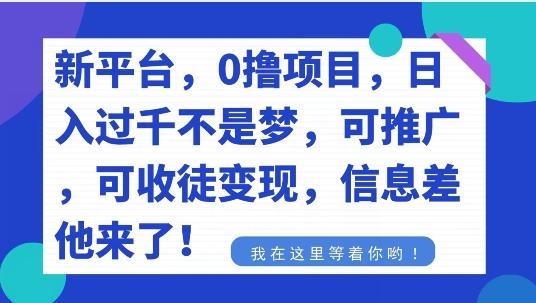 不要再花冤枉钱了，0撸项目，每天坚持，稳定1000+-九洲网