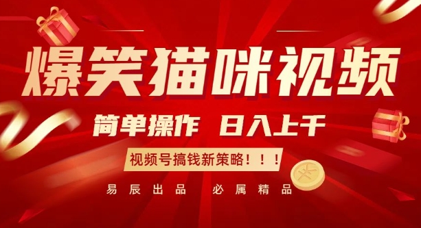 爆笑猫咪视频：简单操作，日入过K，视频号搞钱新策略【揭秘】-九洲网