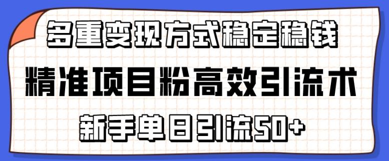 精准项目粉高效引流术，新手单日引流50+，多重变现方式稳定赚钱【揭秘】-九洲网