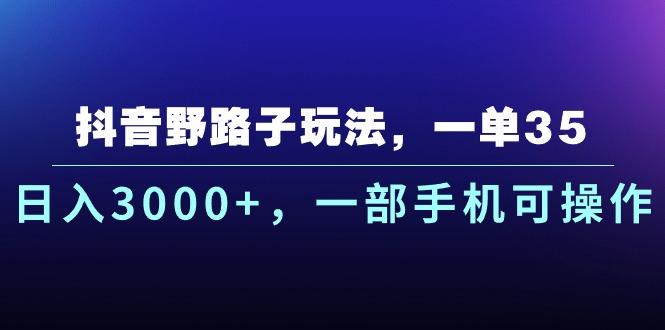 抖音野路子玩法，一单35.日入3000+，一部手机可操作-九洲网