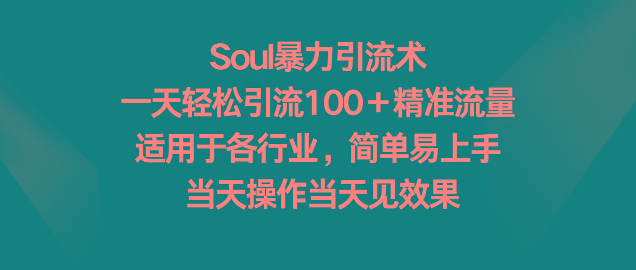 Soul暴力引流术，一天轻松引流100＋精准流量，适用于各行业，简单易上手！-九洲网