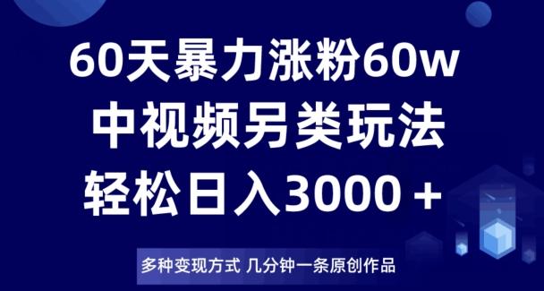 60天暴力涨粉60W，中视频另类玩法，日入3000＋，几分钟一条原创作品多种变现方式-九洲网