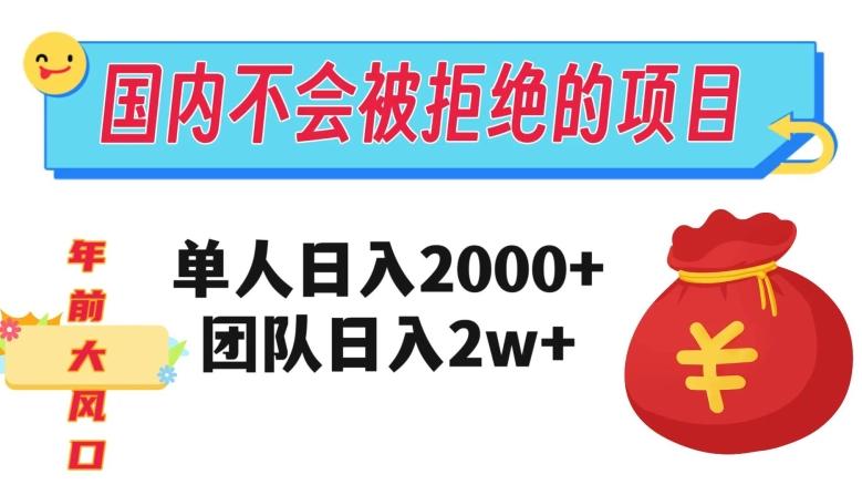 在国内不怕被拒绝的项目，单人日入2000，团队日入20000+【揭秘】-九洲网
