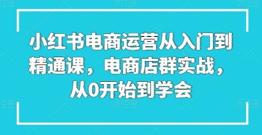 小红书电商运营从入门到精通课，电商店群实战，从0开始到学会-九洲网