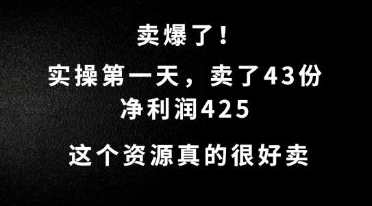这个资源，需求很大，实操第一天卖了43份，净利润425【揭秘】-九洲网